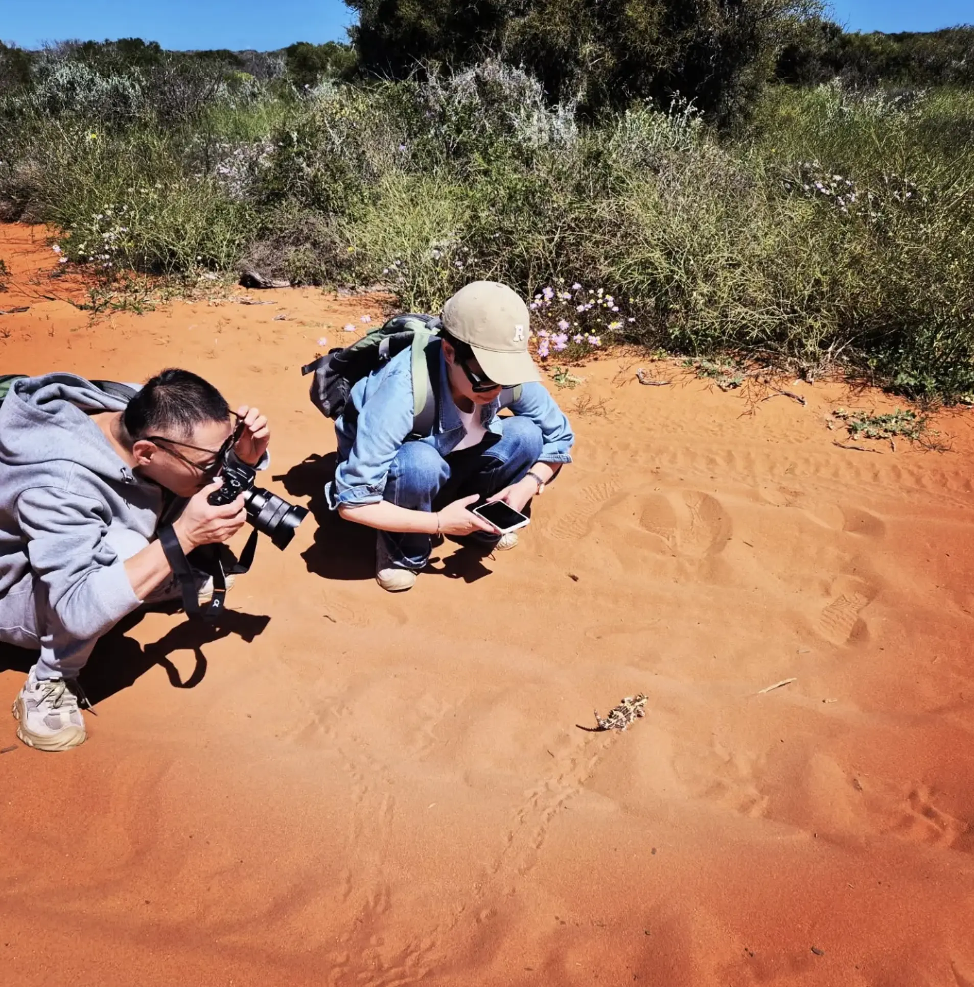 Francois Peron National Park