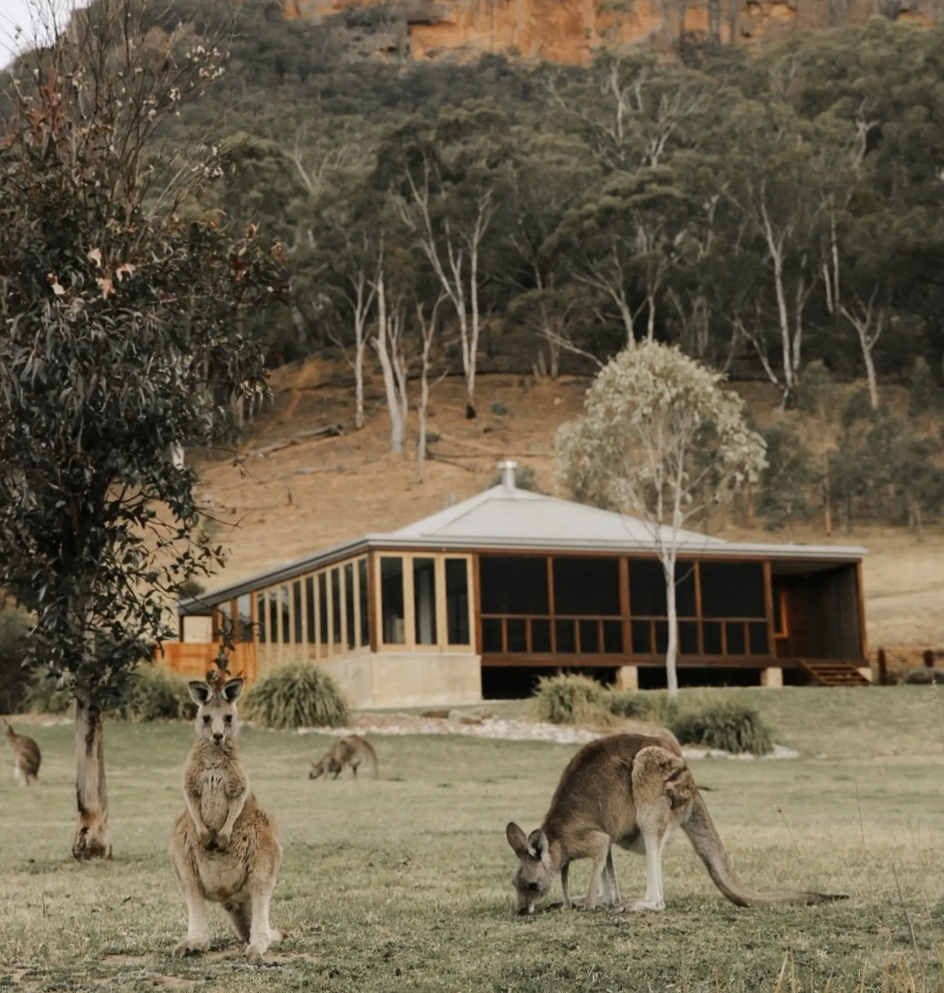 Blue Mountains Australia