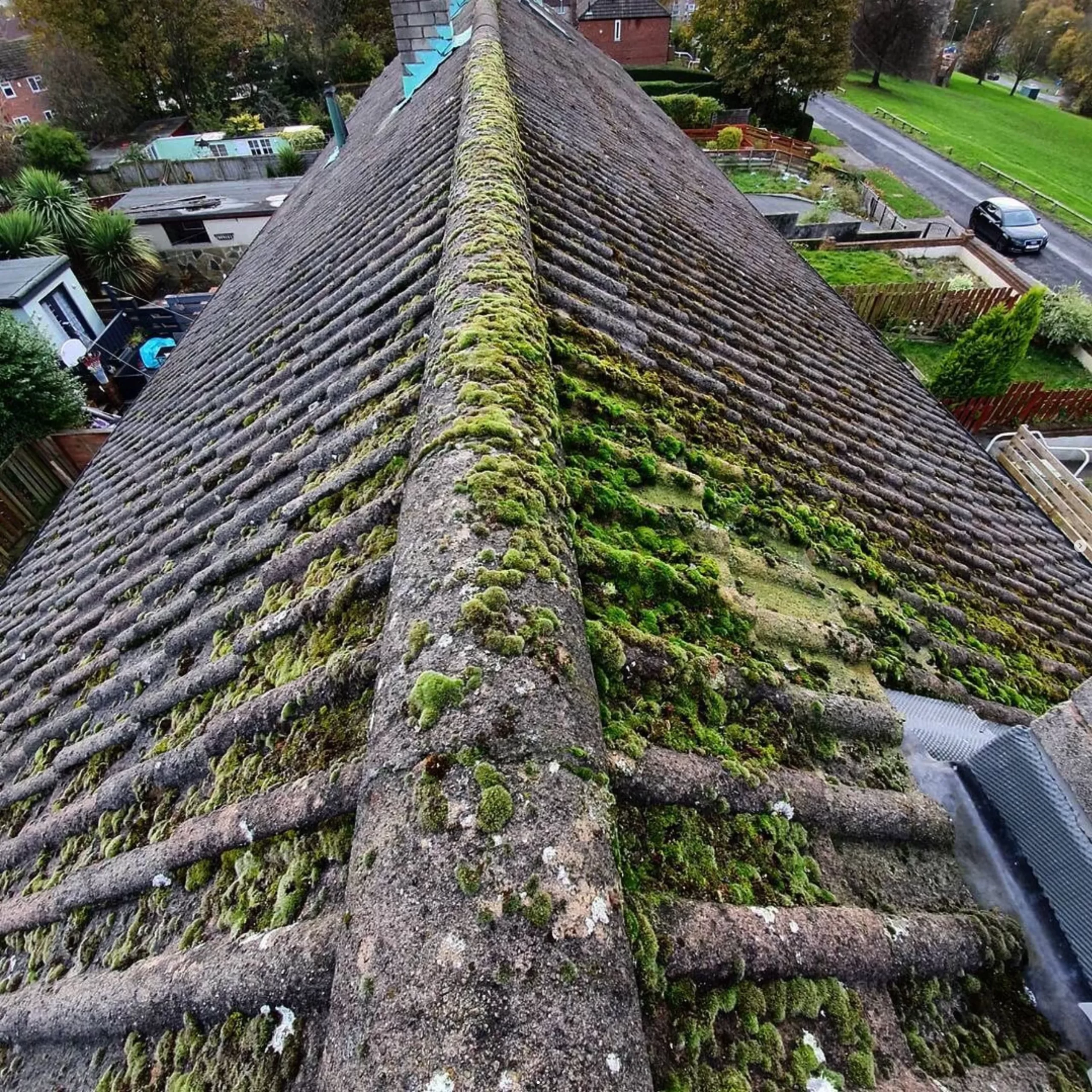 How Often Should You Clean Your Roof? Expert Guide