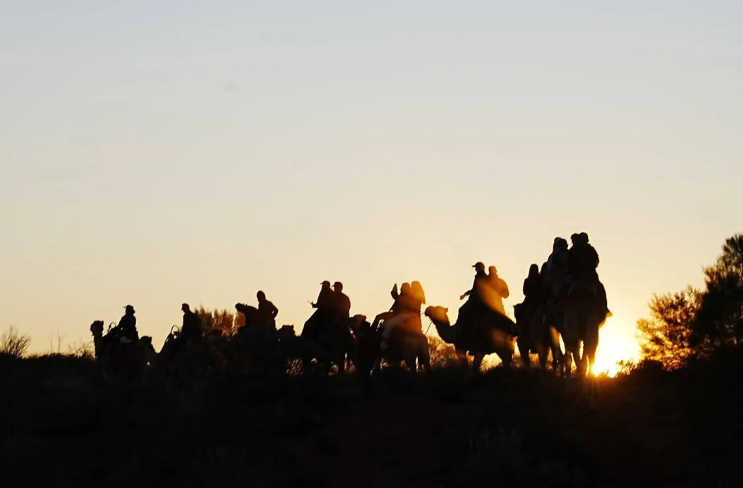 camel rides, Uluru