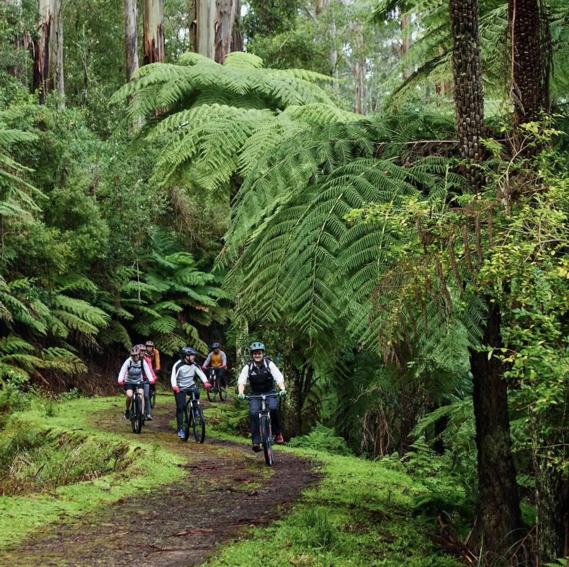 best way to visit Yarra Valley wineries